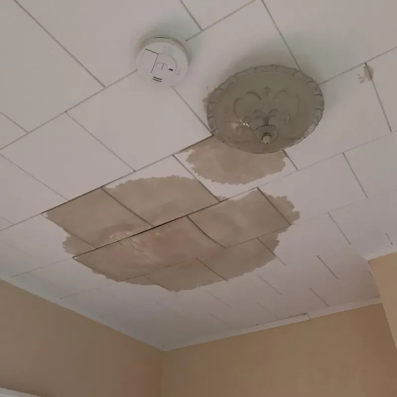 Ceiling Water Damage Repair in New Hope, TN