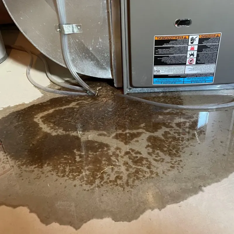 Pipe Burst and Leak Restoration in New Hope, TN