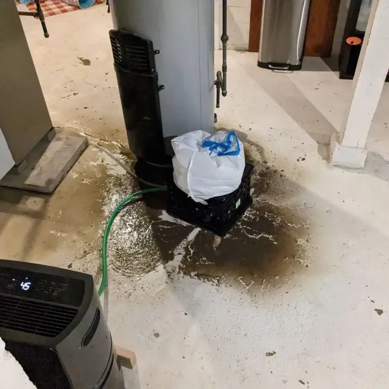Sewage Backup Cleanup Service in New Hope, TN